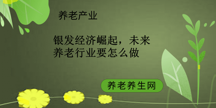 银发经济崛起，未来养老行业要怎么做