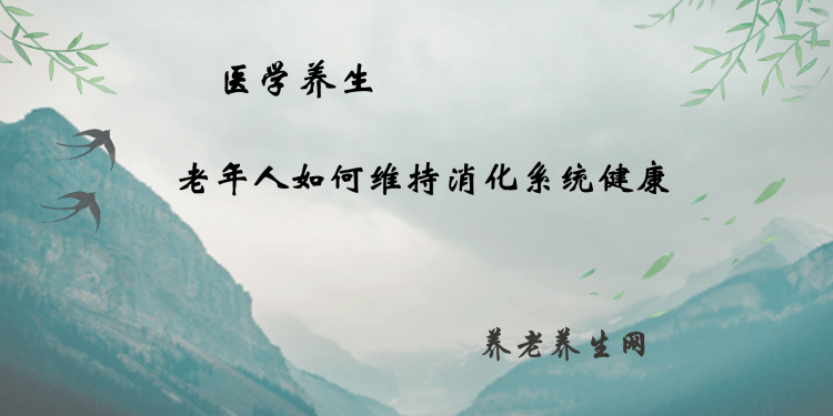 老年人如何维持消化系统健康