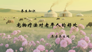 宠物疗法对老年人的好处