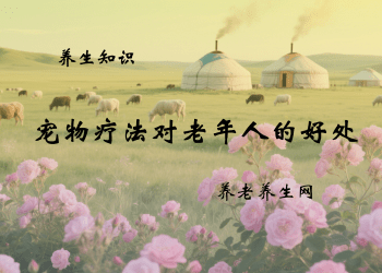 宠物疗法对老年人的好处