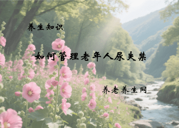 如何管理老年人尿失禁