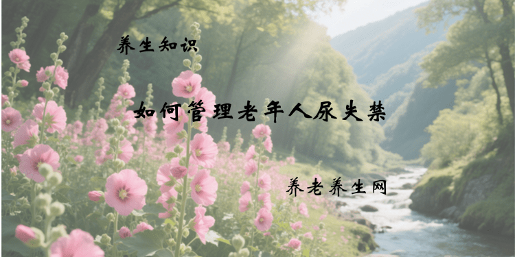 如何管理老年人尿失禁