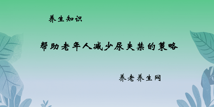 帮助老年人减少尿失禁的策略