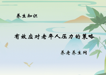 有效应对老年人压力的策略