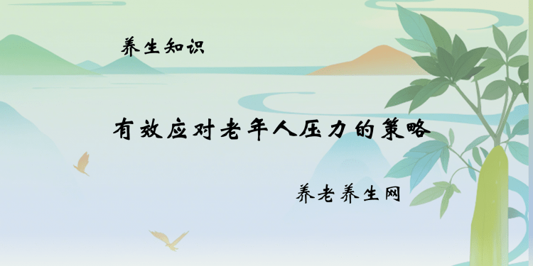 有效应对老年人压力的策略
