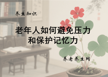 老年人如何避免压力和保护记忆力
