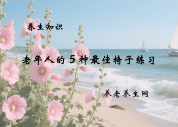 老年人的 5 种最佳椅子练习