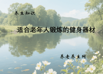 适合老年人锻炼的健身器材