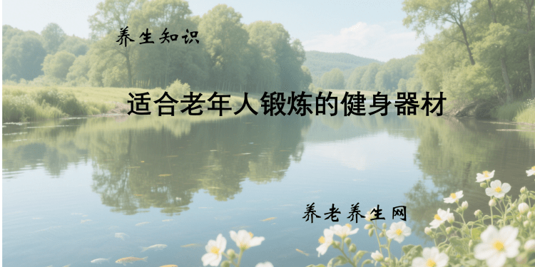 适合老年人锻炼的健身器材