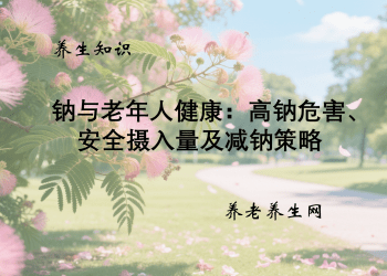 钠与老年人健康：高钠危害、安全摄入量及减钠策略
