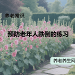 预防老年人跌倒的练习