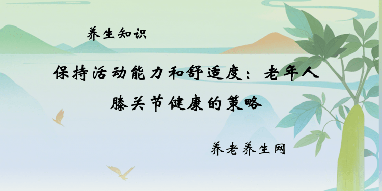 保持活动能力和舒适度：老年人膝关节健康的策略