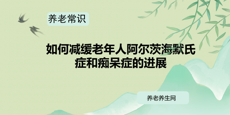 如何减缓老年人阿尔茨海默氏症和痴呆症的进展
