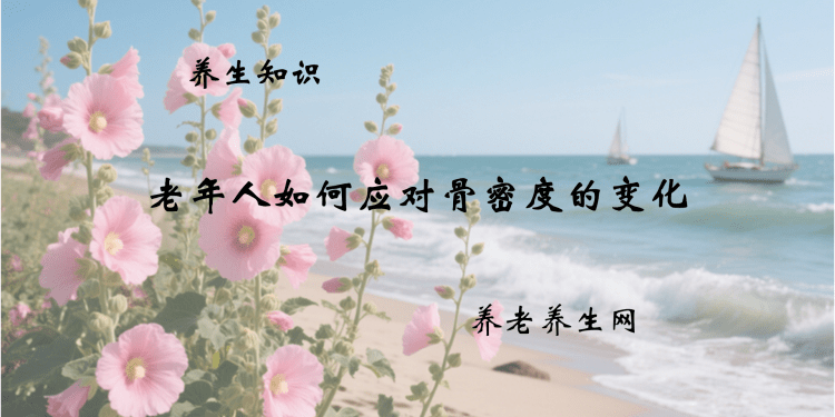 老年人如何应对骨密度的变化