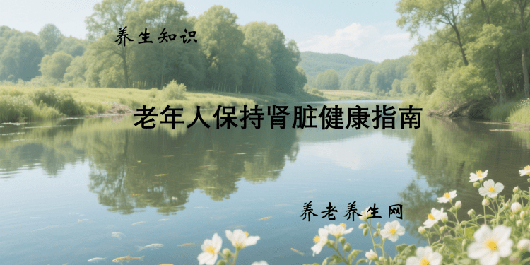 老年人保持肾脏健康指南