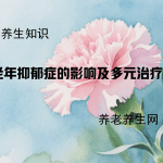 老年抑郁症的影响及多元治疗方案