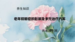 老年抑郁症的影响及多元治疗方案