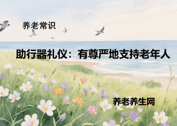 助行器礼仪：有尊严地支持老年人