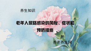 老年人尿路感染的风险、症状和预防措施