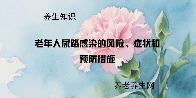 老年人尿路感染的风险、症状和预防措施