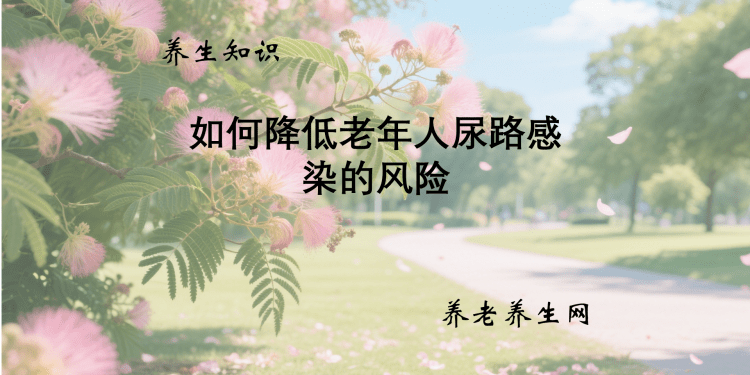 如何降低老年人尿路感染的风险