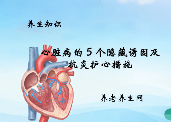 心脏病的 5 个隐藏诱因及抗炎护心措施