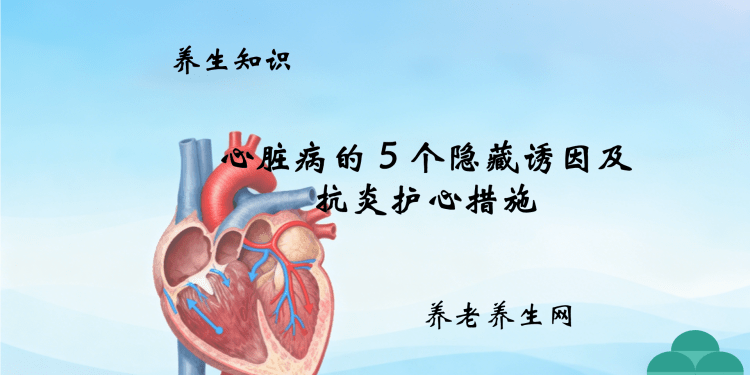 心脏病的 5 个隐藏诱因及抗炎护心措施