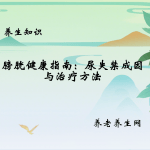 膀胱健康指南：尿失禁成因与治疗方法