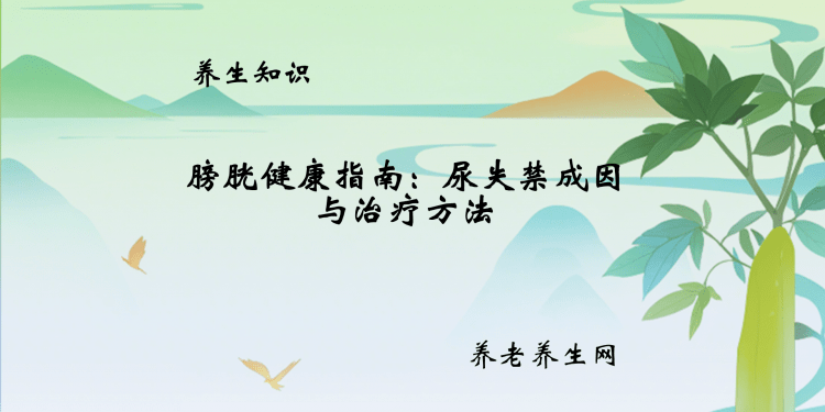 膀胱健康指南：尿失禁成因与治疗方法