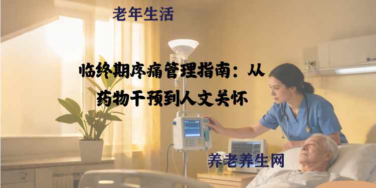 临终期疼痛管理指南：从药物干预到人文关怀