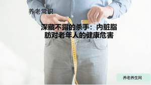 深藏不露的杀手：内脏脂肪对老年人的健康危害