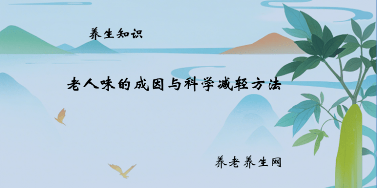 老人味的成因与科学减轻方法